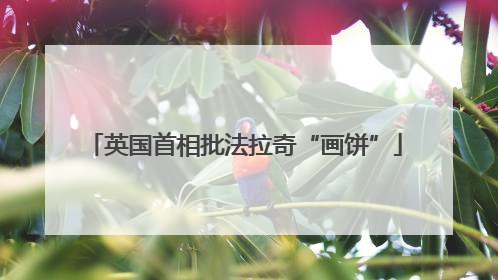 英国首相批法拉奇“画饼”