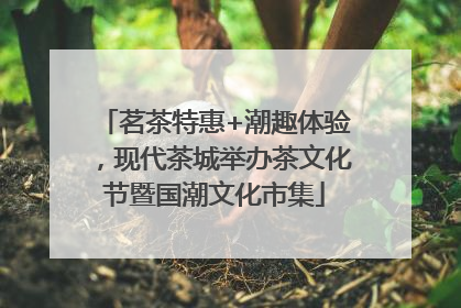 茗茶特惠+潮趣体验，现代茶城举办茶文化节暨国潮文化市集