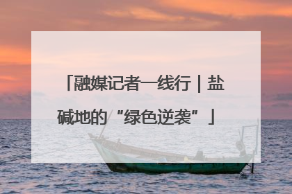融媒记者一线行｜盐碱地的“绿色逆袭”