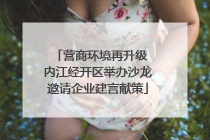 营商环境再升级 内江经开区举办沙龙邀请企业建言献策