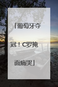 葡萄牙夺冠！C罗掩面痛哭