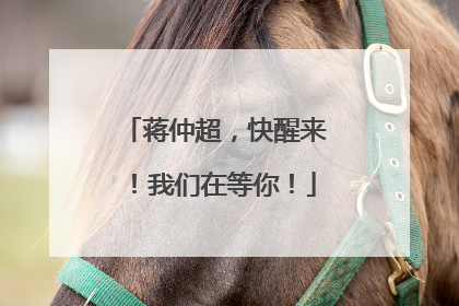 蒋仲超，快醒来！我们在等你！