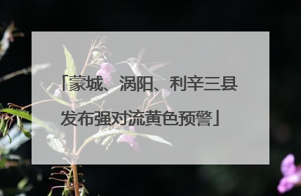 蒙城、涡阳、利辛三县发布强对流黄色预警