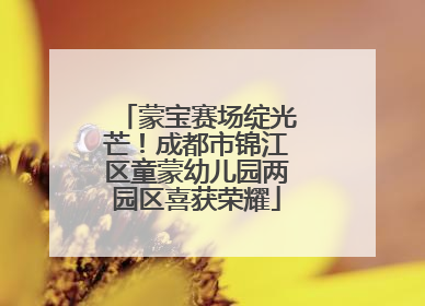 蒙宝赛场绽光芒！成都市锦江区童蒙幼儿园两园区喜获荣耀