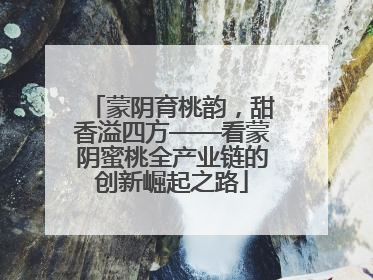 蒙阴育桃韵，甜香溢四方——看蒙阴蜜桃全产业链的创新崛起之路