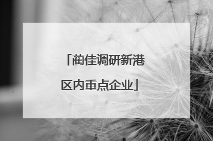 蔺佳调研新港区内重点企业