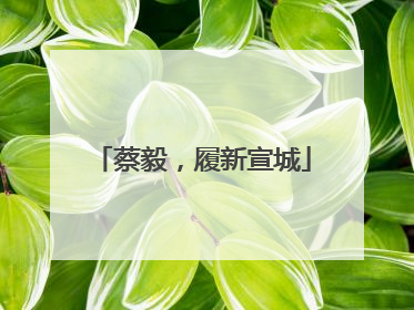 蔡毅，履新宣城
