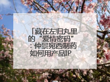 藏在左归丸里的“爱情密码”：仲景宛西制药如何用产品IP讲好品牌故事