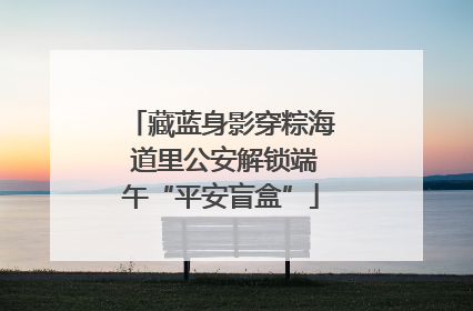 藏蓝身影穿粽海 道里公安解锁端午“平安盲盒”