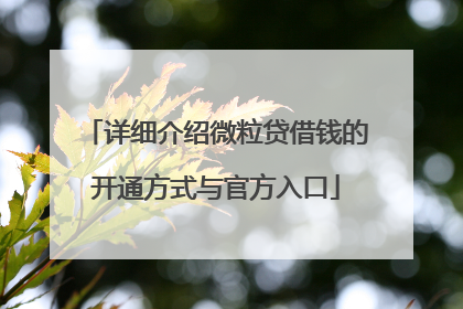详细介绍微粒贷借钱的开通方式与官方入口