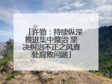 许勤：持续纵深推进集中整治 坚决纠治不正之风查处腐败问题