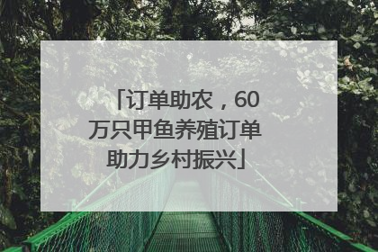 订单助农，60万只甲鱼养殖订单助力乡村振兴