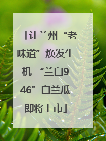 让兰州“老味道”焕发生机 “兰白946”白兰瓜即将上市