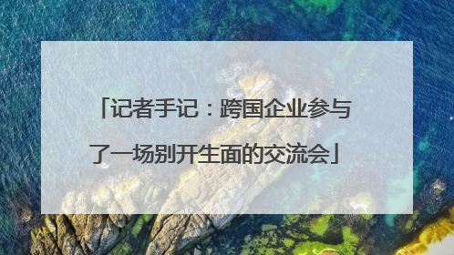 记者手记：跨国企业参与了一场别开生面的交流会