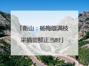 衡山：杨梅缀满枝 采摘尝鲜正当时