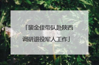 裴金佳带队赴陕西调研退役军人工作