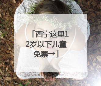 西宁这里12岁以下儿童免票→