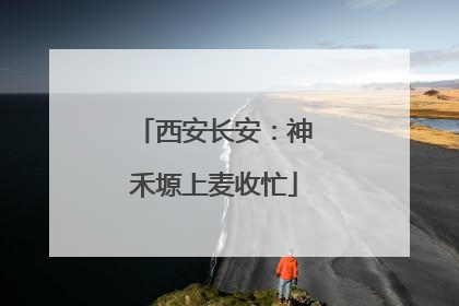 西安长安：神禾塬上麦收忙