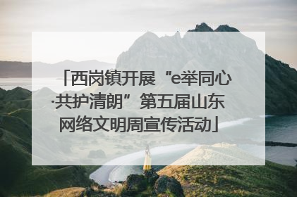 西岗镇开展“e举同心·共护清朗”第五届山东网络文明周宣传活动