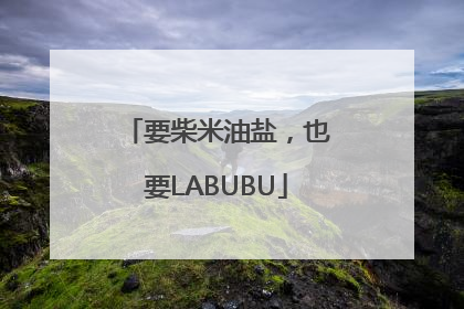要柴米油盐，也要LABUBU
