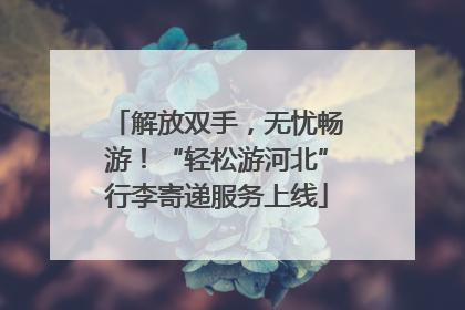 解放双手，无忧畅游！“轻松游河北”行李寄递服务上线