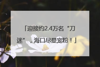 迎接约2.4万名“刀迷”，海口尽显宠粉！