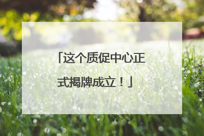 这个质促中心正式揭牌成立！