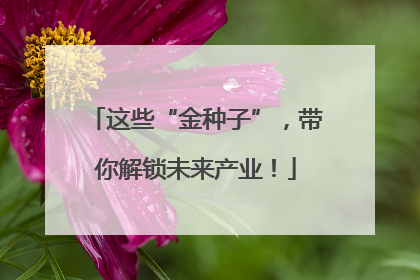 这些“金种子”，带你解锁未来产业！