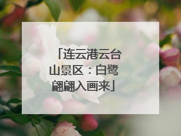 连云港云台山景区：白鹭翩翩入画来