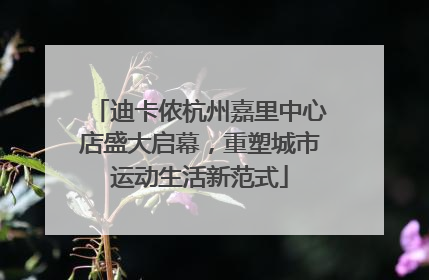 迪卡侬杭州嘉里中心店盛大启幕，重塑城市运动生活新范式