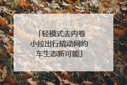 轻模式去内卷 小拉出行撬动网约车生态新可能