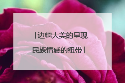 边疆大美的呈现 民族情感的纽带