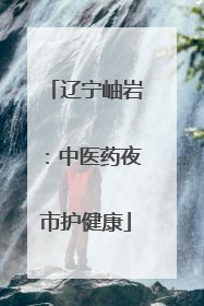 辽宁岫岩：中医药夜市护健康