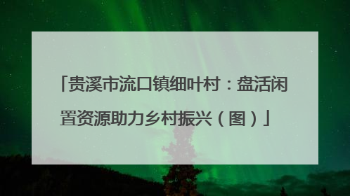 贵溪市流口镇细叶村：盘活闲置资源助力乡村振兴（图）