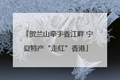 贺兰山牵手香江畔 宁夏特产“走红”香港