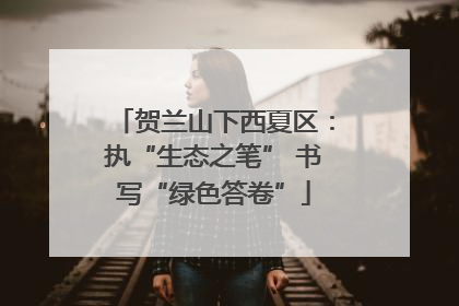 贺兰山下西夏区：执“生态之笔” 书写“绿色答卷”