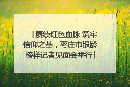 赓续红色血脉 筑牢信仰之基，枣庄市银龄榜样记者见面会举行