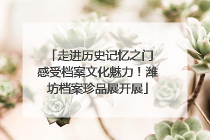 走进历史记忆之门 感受档案文化魅力！潍坊档案珍品展开展