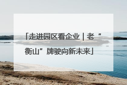 走进园区看企业｜老“衡山”牌驶向新未来