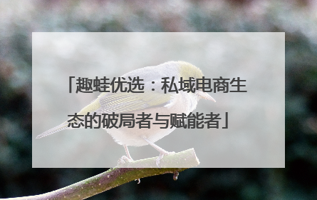 趣蛙优选：私域电商生态的破局者与赋能者
