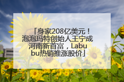 身家208亿美元！泡泡玛特创始人王宁成河南新首富，Labubu热销推涨股价