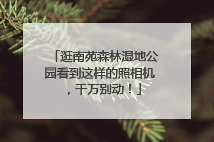 逛南苑森林湿地公园看到这样的照相机，千万别动！