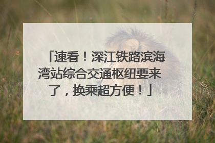 速看！深江铁路滨海湾站综合交通枢纽要来了，换乘超方便！