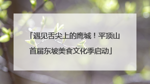 遇见舌尖上的鹰城！平顶山首届东坡美食文化季启动