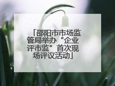 邵阳市市场监管局举办“企业评市监”首次现场评议活动