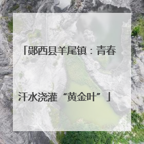 郧西县羊尾镇：青春汗水浇灌“黄金叶”