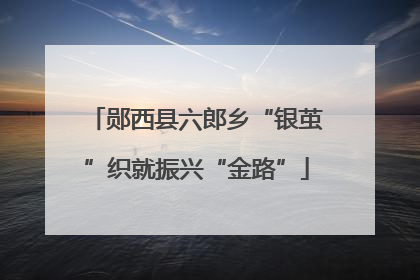 郧西县六郎乡“银茧”织就振兴“金路”