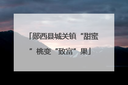 郧西县城关镇“甜蜜”桃变“致富”果