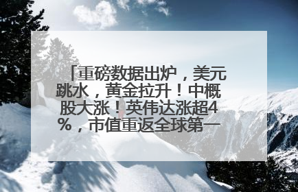 重磅数据出炉，美元跳水，黄金拉升！中概股大涨！英伟达涨超4%，市值重返全球第一！黄仁勋计划出售至多600万股股票