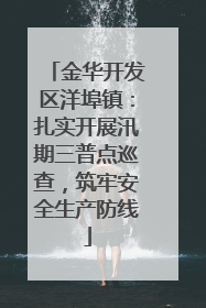 金华开发区洋埠镇：扎实开展汛期三普点巡查，筑牢安全生产防线